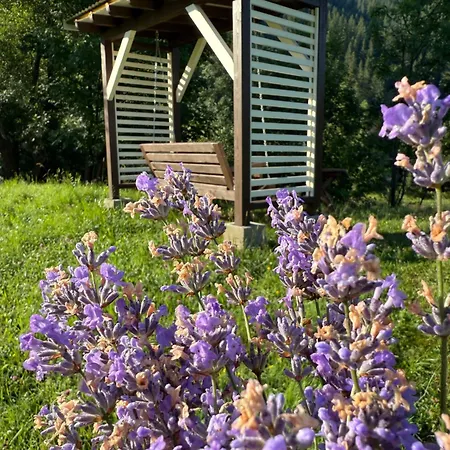 на грушівці Holiday home Krivorovnya