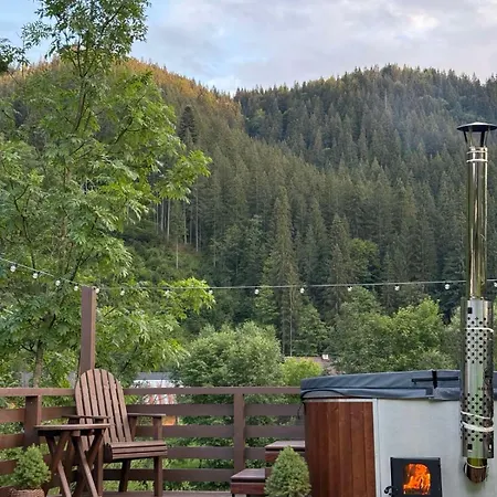 Holiday home на грушівці Krivorovnya