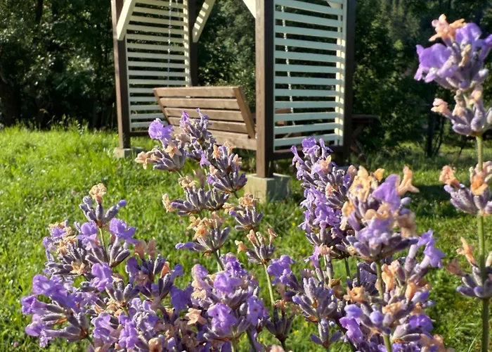 на грушівці Holiday home Krivorovnya